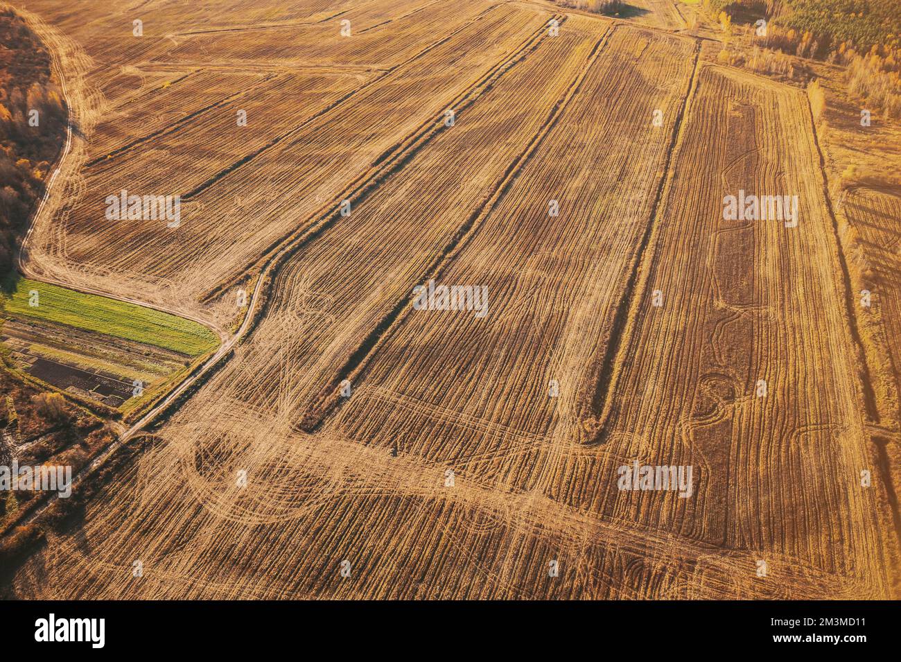 Veduta aerea autunno campo paesaggio con linee sentieri. Vista dall'alto del campo vuoto e pulito nella soleggiata giornata autunnale. Vista con drone dall'alto. Alto atteggiamento in Foto Stock