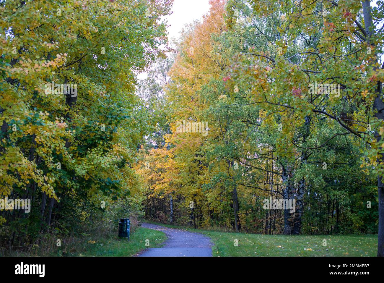 Parchi di Helsinki in autunno Foto Stock