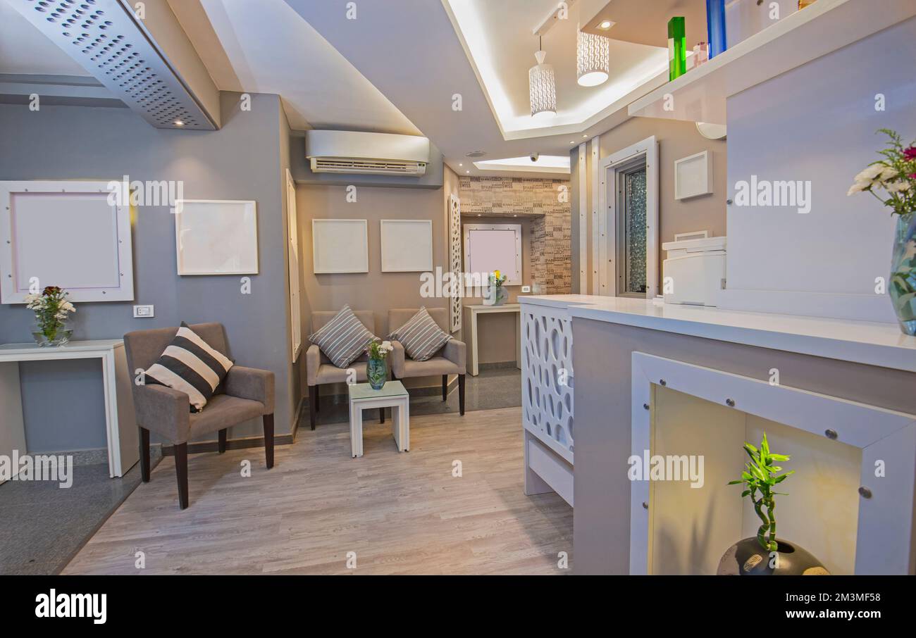 Design interno di un piccolo hotel boutique di lusso, area reception della lobby con posti a sedere Foto Stock