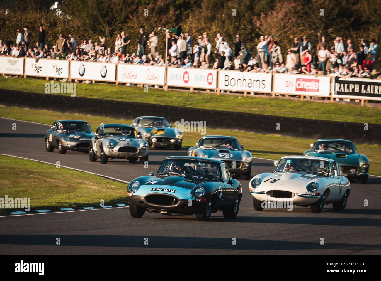 I Jaguar e-TYPE guidano il gruppo al Goodwood Revival Kinrara Trophy Foto Stock