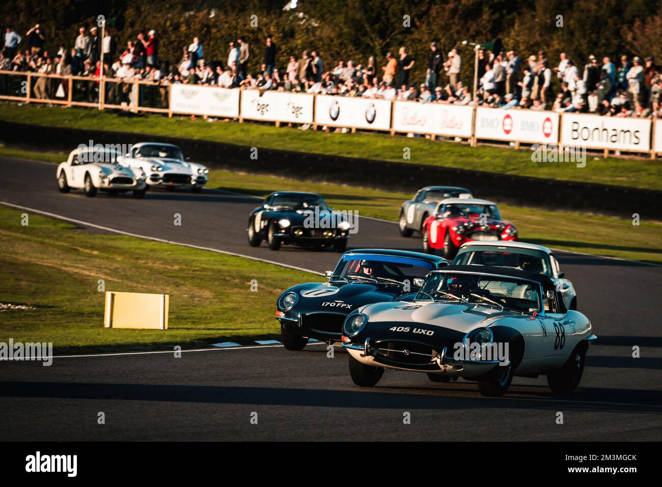 I Jaguar e-TYPE guidano il gruppo al Goodwood Revival Kinrara Trophy Foto Stock