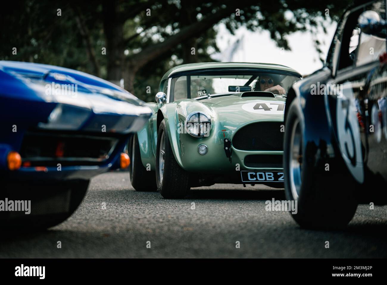 AC Cobra Foto Stock