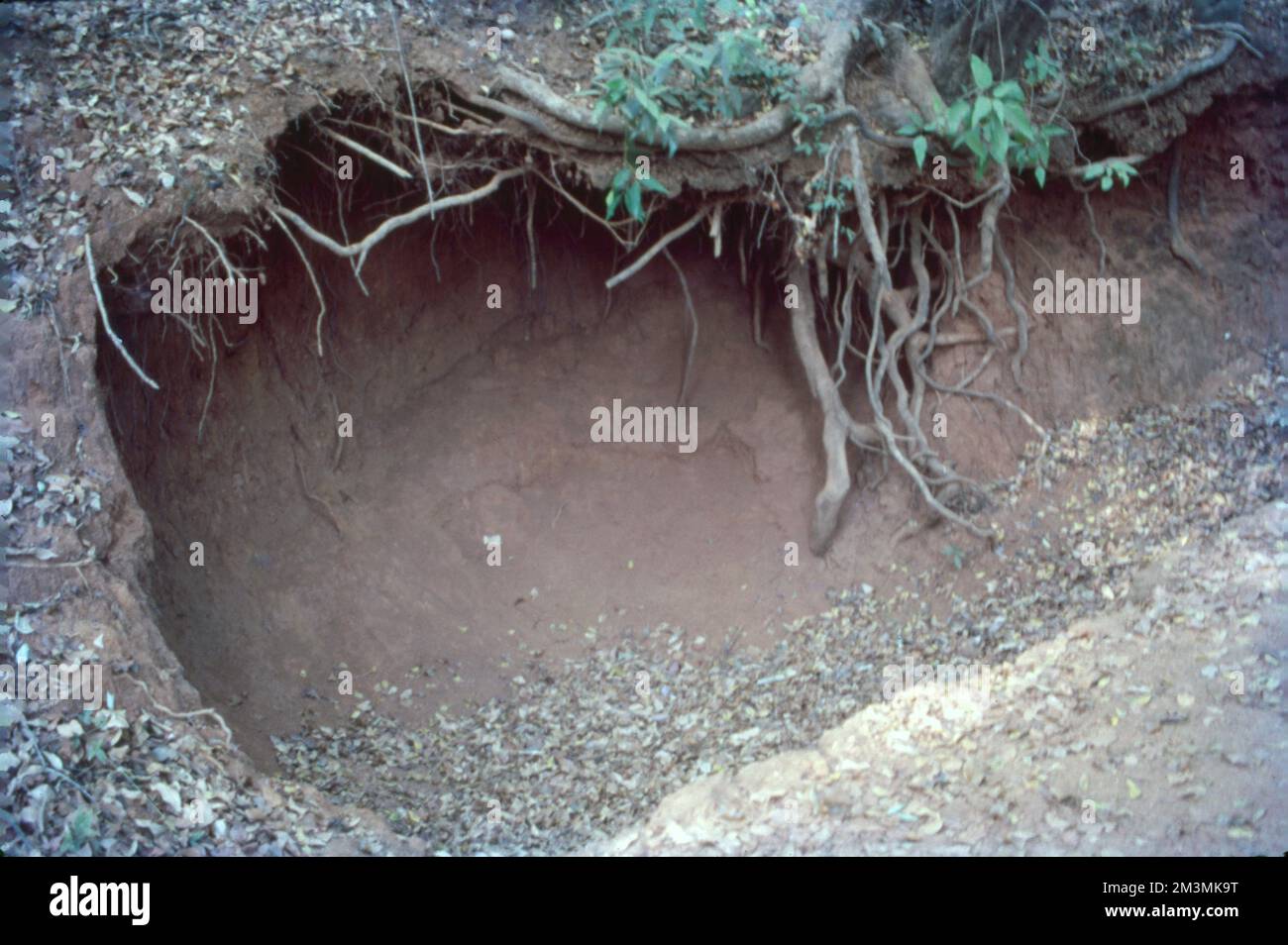 L'erosione è il processo geologico in cui i materiali della terra vengono consumati e trasportati da forze naturali come il vento o l'acqua. Un processo simile, intemperie, rompe o scioglie la roccia, ma non comporta il movimento. Erosione di suolo accade primariamente quando sporcizia è lasciata esposta a venti forti, piogge dure, ed acqua fluente. In alcuni casi, le attività umane, in particolare l'agricoltura e la bonifica, lasciano il suolo vulnerabile all'erosione. Foto Stock