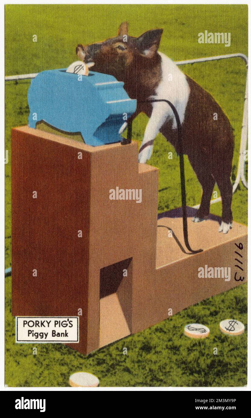 Porky Pig's Piggy Bank, Tichnor Brothers Collection, cartoline degli Stati Uniti Foto Stock