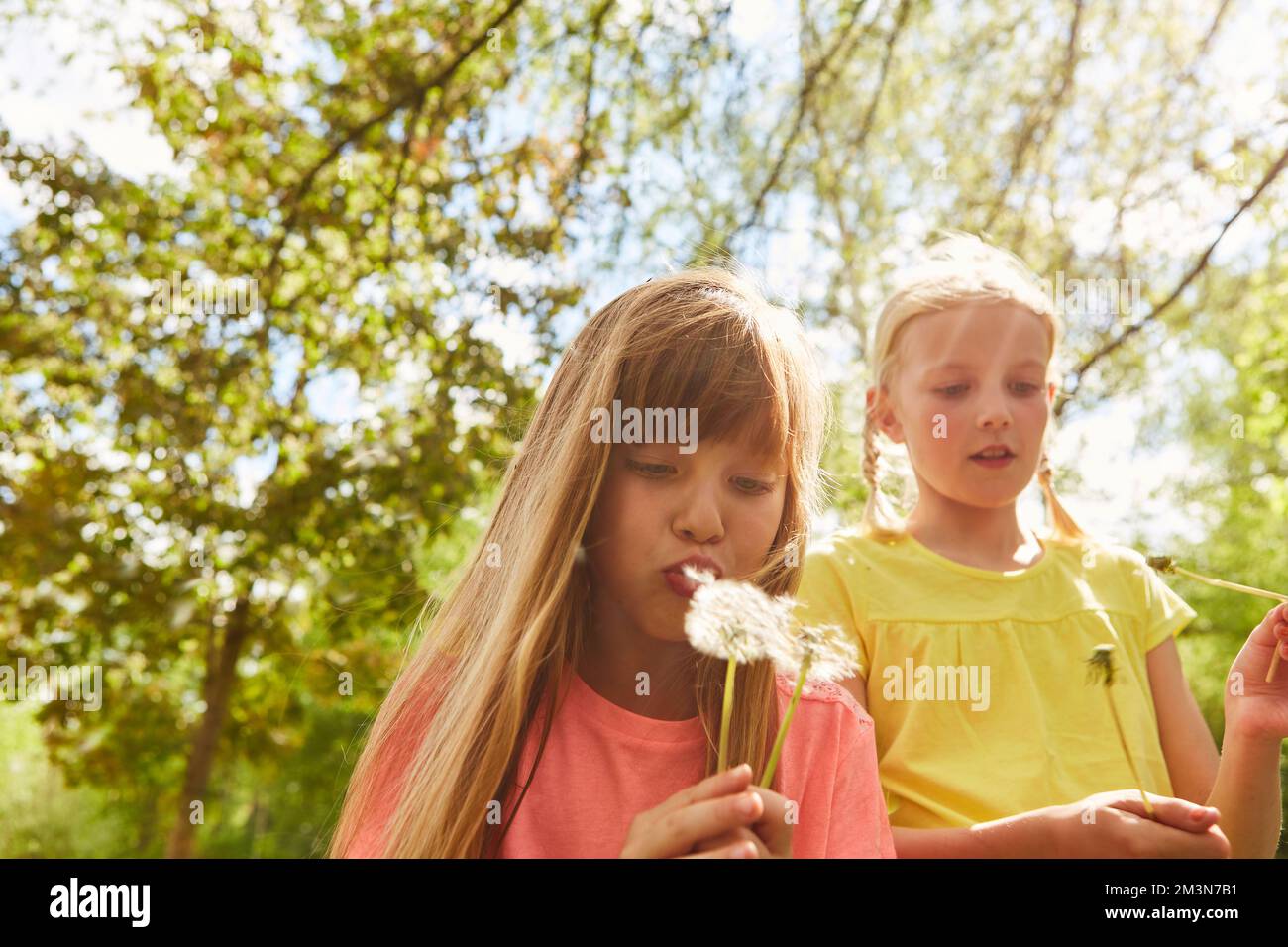 Le amiche che soffiano i dentelli trascorrono il tempo libero in giardino nelle giornate di sole Foto Stock