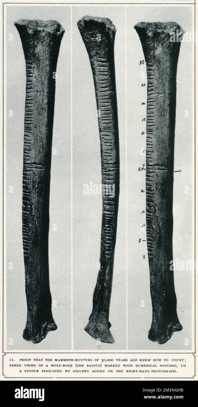 Prova che i cacciatori di mammut di 30.000 anni fa sapevano come contare: Tre viste di un osso di lupo (il raggio) segnato con tacche numeriche, su un sistema indicato da figure aggiunte sulla fotografia di destra. Data: BCE Foto Stock