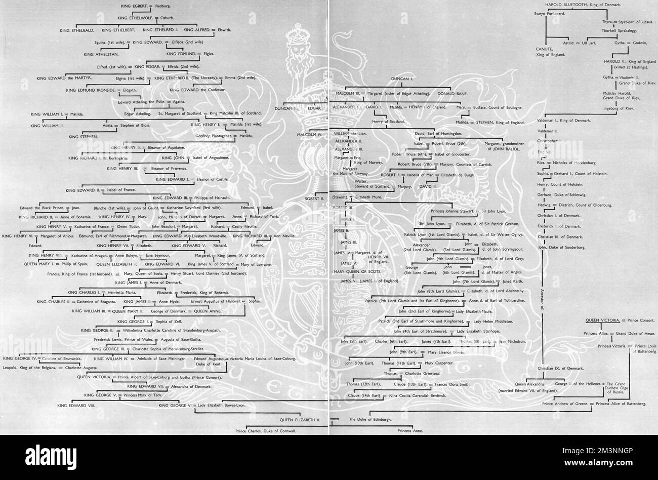 Una tavola genealogica o albero di famiglia che mostra la discesa della regina Elisabetta II dai re normanni, anglosassoni e scozzesi, e la discesa del duca di Edimburgo da Harold, ultimo dei re anglosassoni, che fu sconfitto ad Hastings dall'antenato della regina, Guglielmo i, E, attraverso la Regina Vittoria, dalla famiglia reale britannica. Data: 1953 Foto Stock