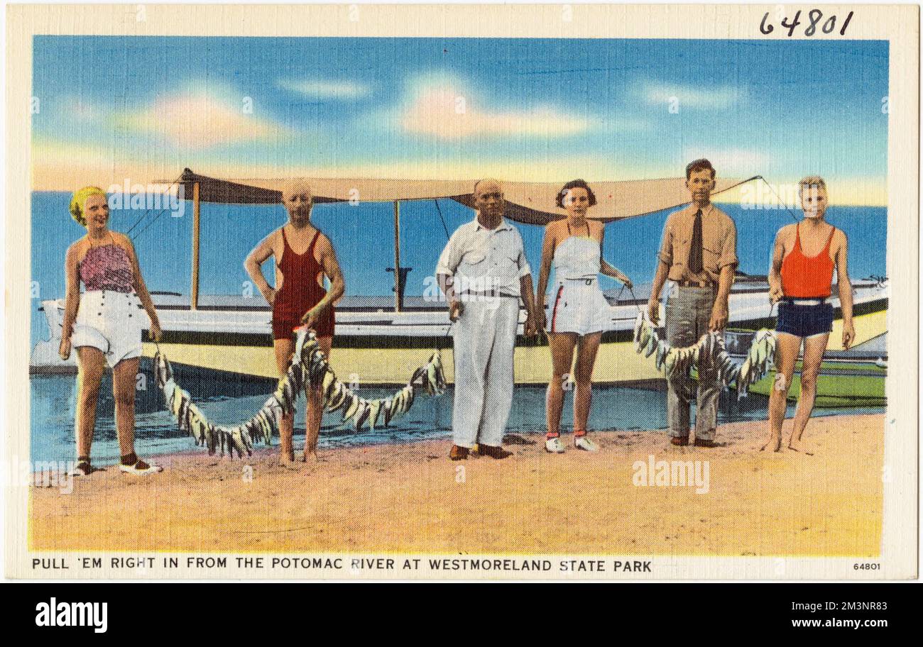 Tira a destra dentro dal fiume Potomac al Westmoreland state Park, spiagge, barche, Tichnor Brothers Collection, cartoline degli Stati Uniti Foto Stock