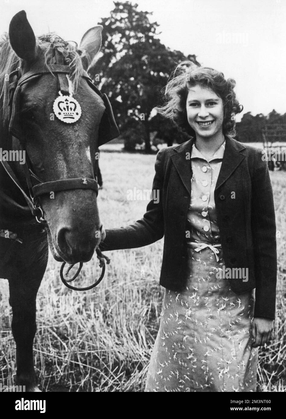 La regina Elisabetta II, quando la principessa Elisabetta, fotografò con uno dei cavalli durante il raccolto a Sandringham, Norfolk, nel 1943. Foto Stock