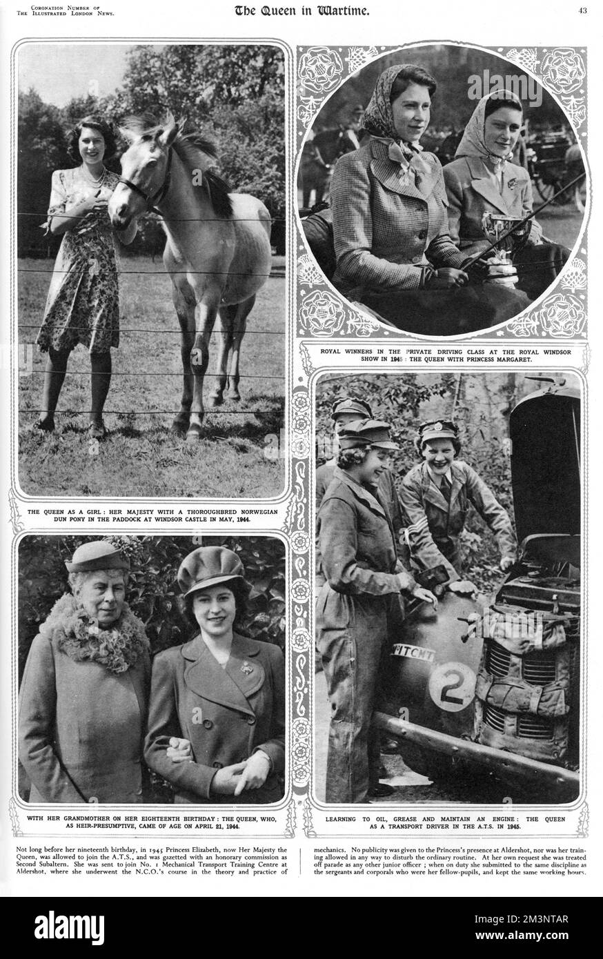 Pagina dal notiziario illustrato di Londra numero di incoronazione con fotografie della principessa Elisabetta (Regina Elisabetta II) durante la seconda guerra mondiale L'immagine in alto a sinistra mostra la sua posa con un pony norvegese purosangue nel paddock al Castello di Windsor nel 1944, in alto a destra la mostra con la sorella, la principessa Margaret, nella classe di guida privata al Royal Windsor Show nel 1945. In basso a destra, mostra la manutenzione del suo motore di apprendimento nell'ATS nel 1945 e in basso a sinistra, nella foto con sua nonna Regina Maria il suo diciottesimo compleanno il 21st 1944 aprile. Data: 1940s Foto Stock