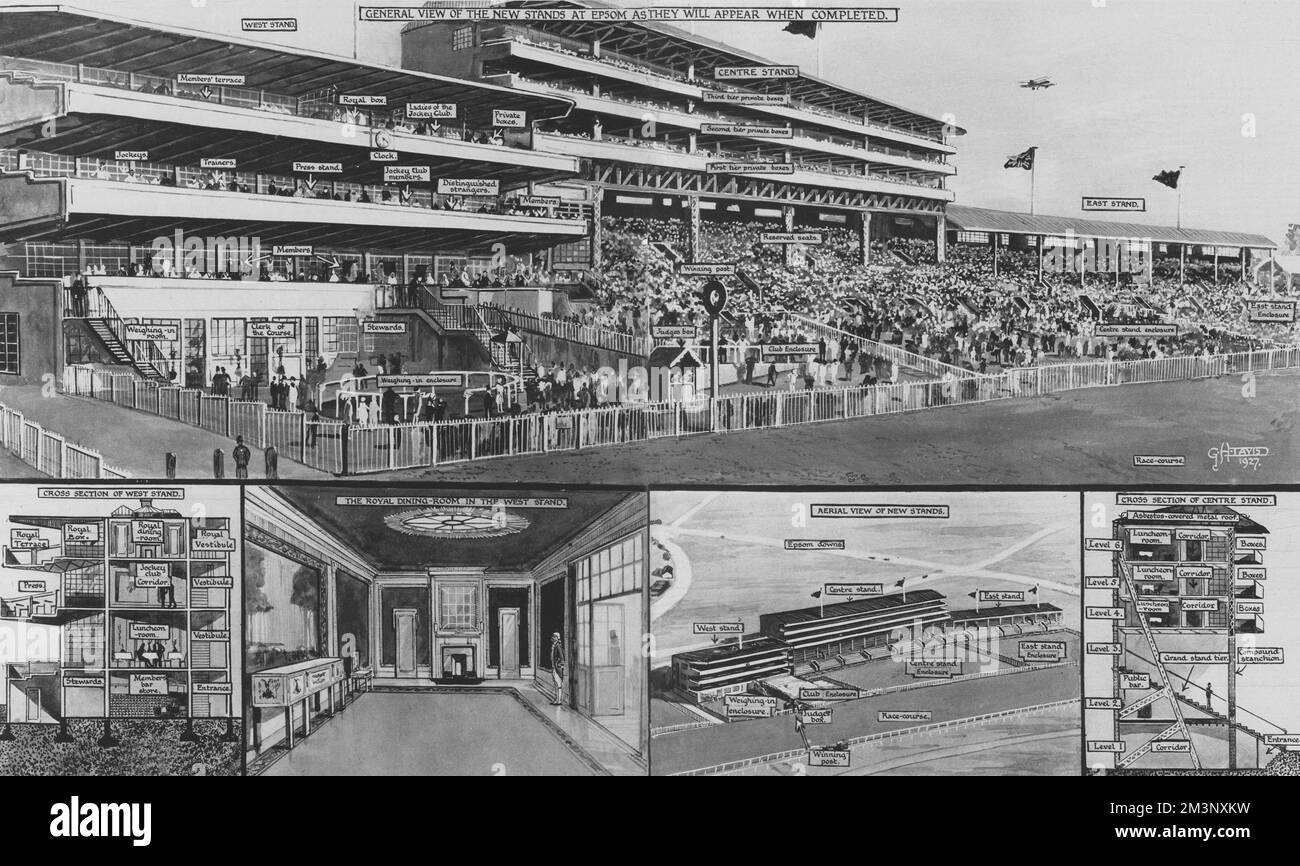 Nuovo grande stand a Epsom di G H Davis Foto Stock