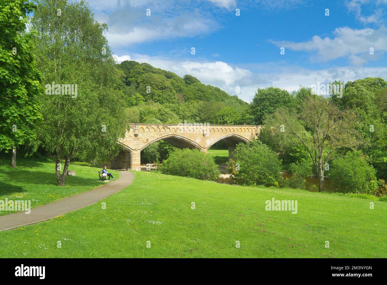 Fiume Swale che scorre attraverso Richmond, guardando verso ovest a valle di Batts Park fino a Road Bridge (A6136), Richmond, North Yorkshire Inghilterra Regno Unito Foto Stock
