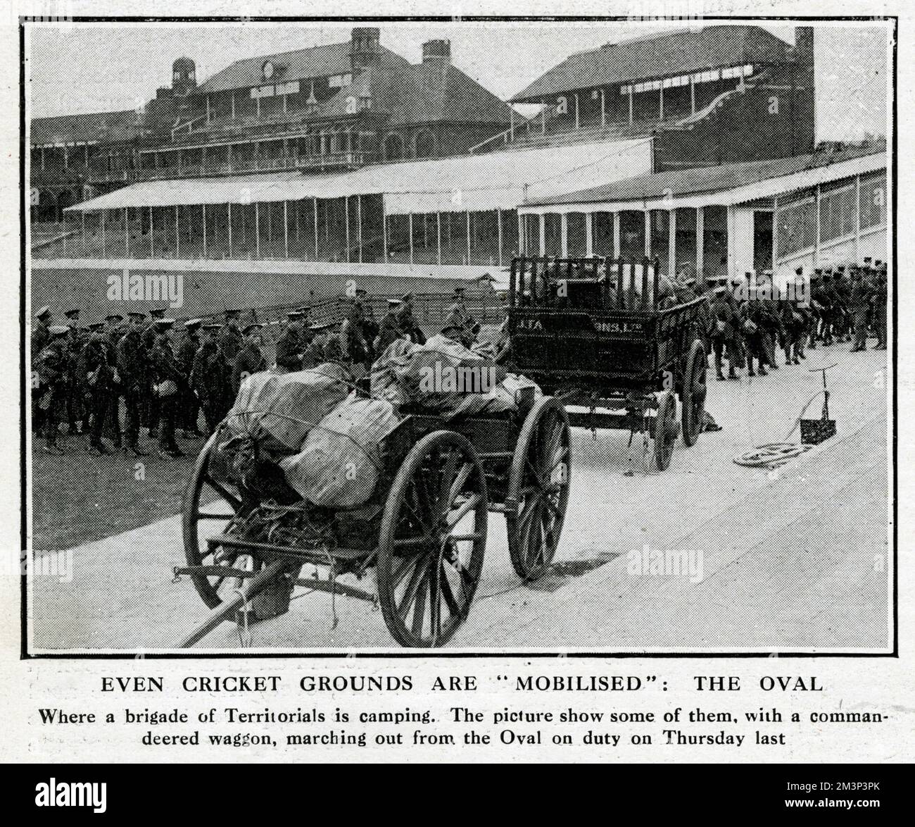 L'Esercito Territoriale accampandosi al campo di cricket Oval a Londra, allo scoppio della prima guerra mondiale. Data: Agosto 1914 Foto Stock
