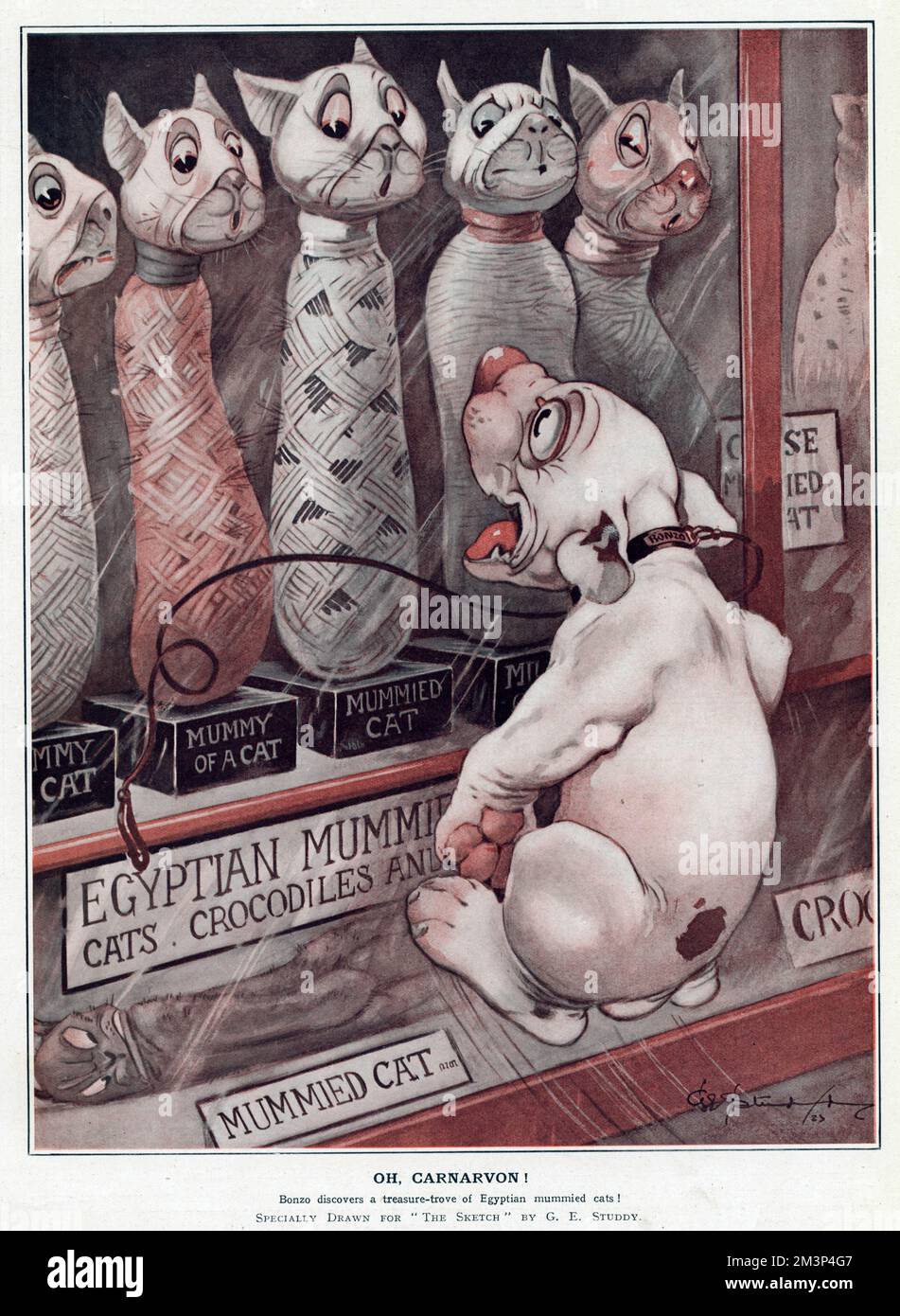 Oh, Carnarvon! Di George Studdy Foto Stock