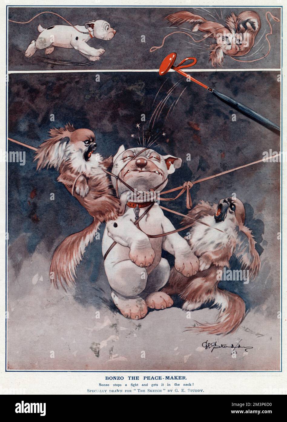 Bonzo il Peace-Maker -- ferma una lotta e la prende al collo da due cani pekingesi. Data: 1924 Foto Stock