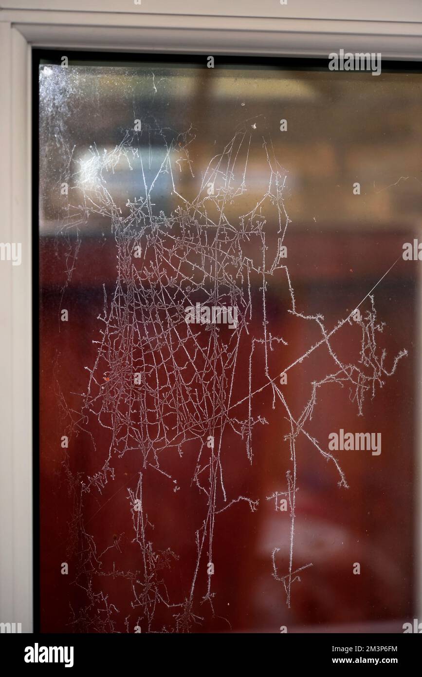 gelo sulla finestra Foto Stock