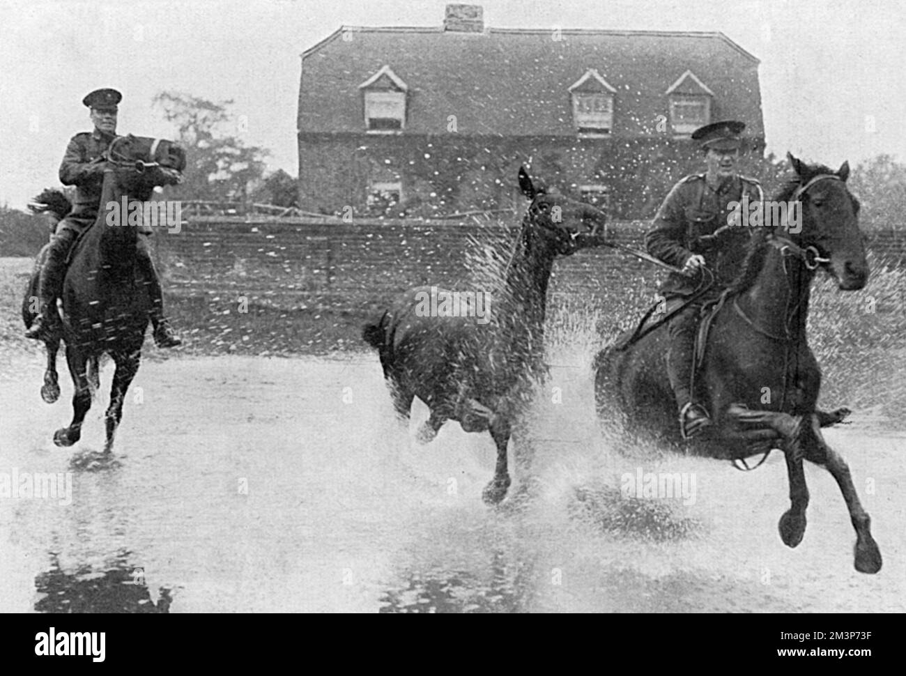 Hussars che si rompono in puledri per l'uso da parte dell'esercito in un villaggio del Surrey durante la prima guerra mondiale. Data: 1915 Foto Stock