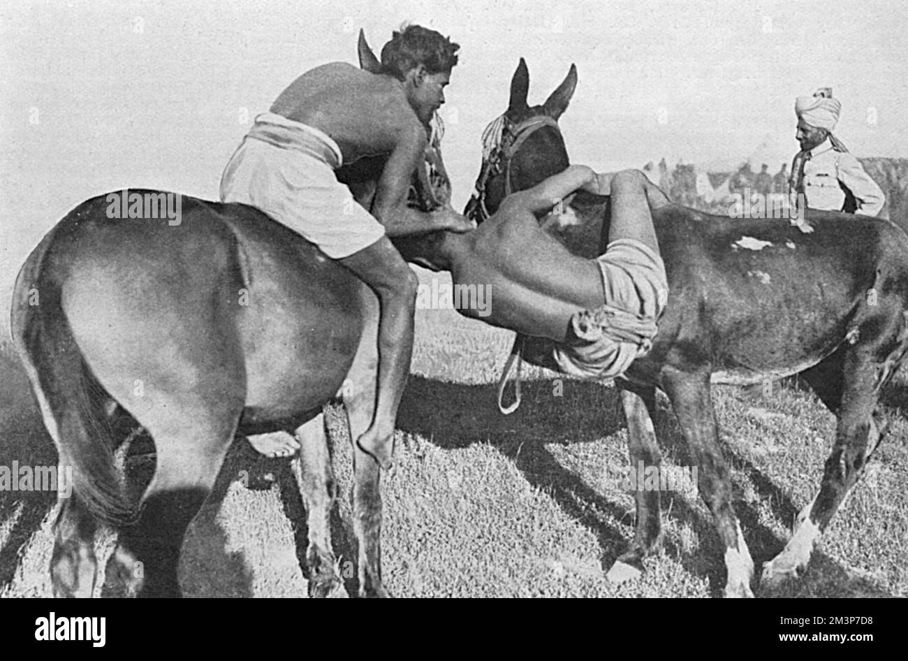 Una partita di wrestling mentre cavalcano muli - truppe indiane in un incontro sportivo tenutosi a Salonicco durante la prima guerra mondiale. Data: 1916 Foto Stock