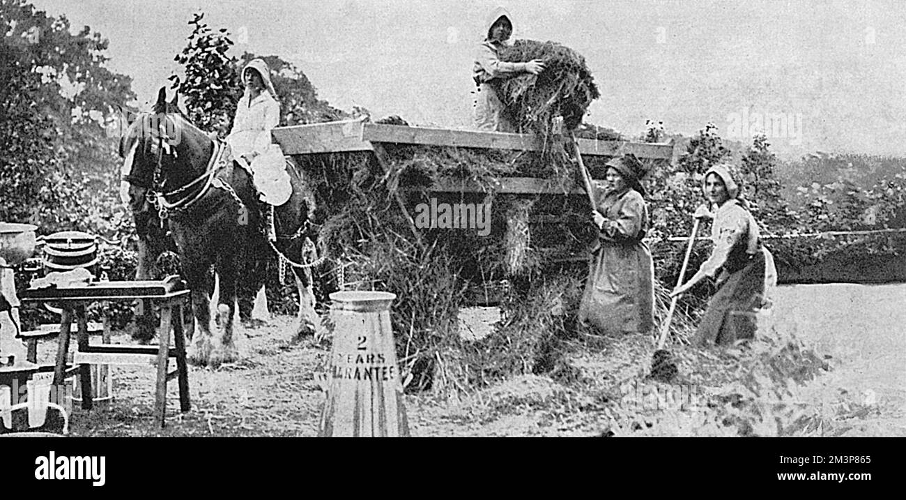Un caseificio modello a Carlton House Terrace, WW1 Foto Stock