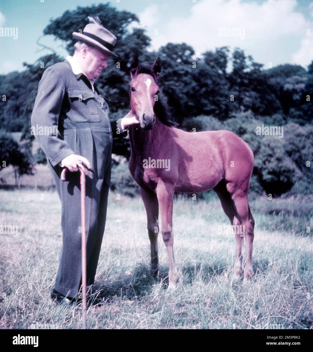 Winston Churchill raffigurato con un giovane puledro Foto Stock