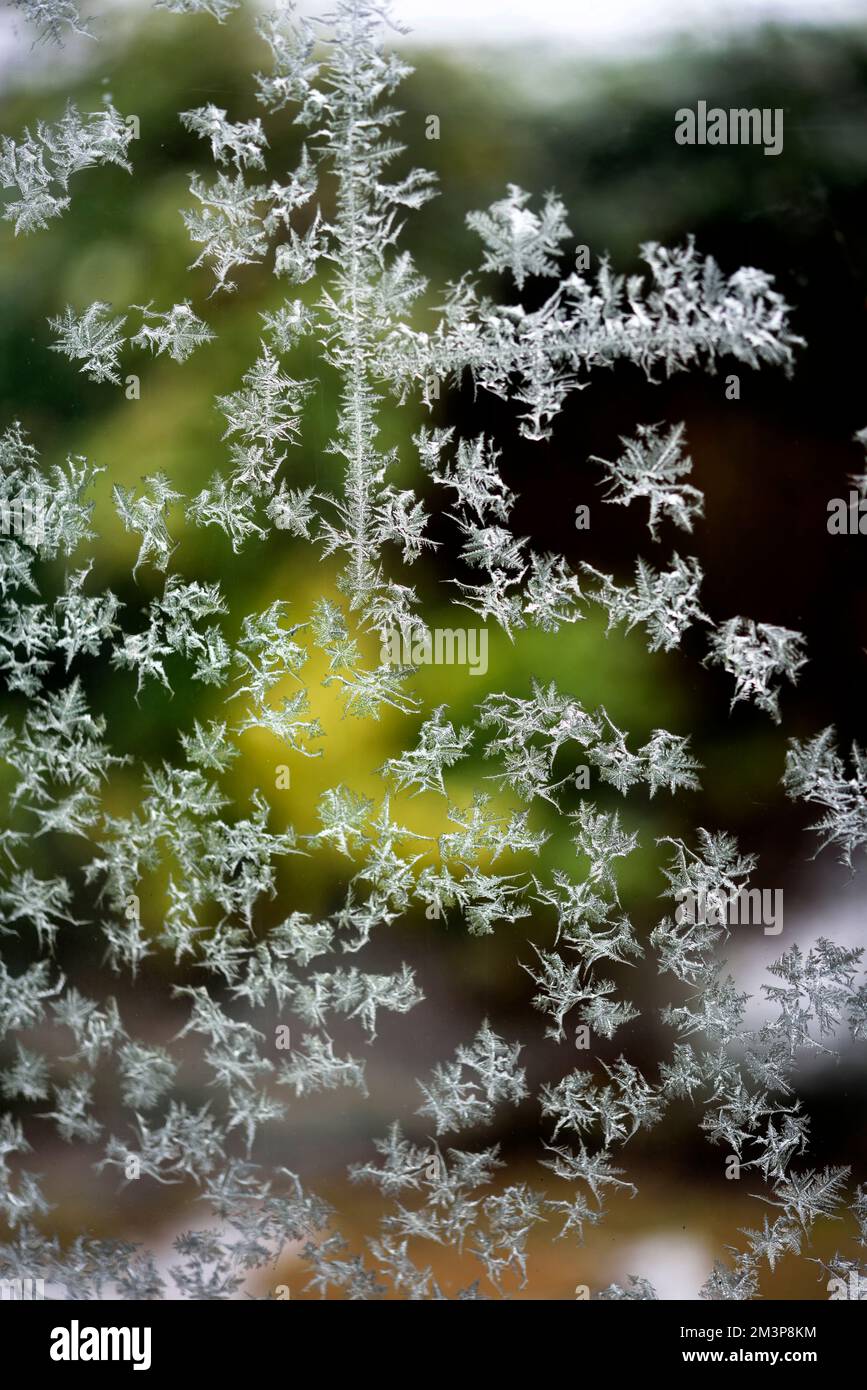 finestra smerigliato Foto Stock