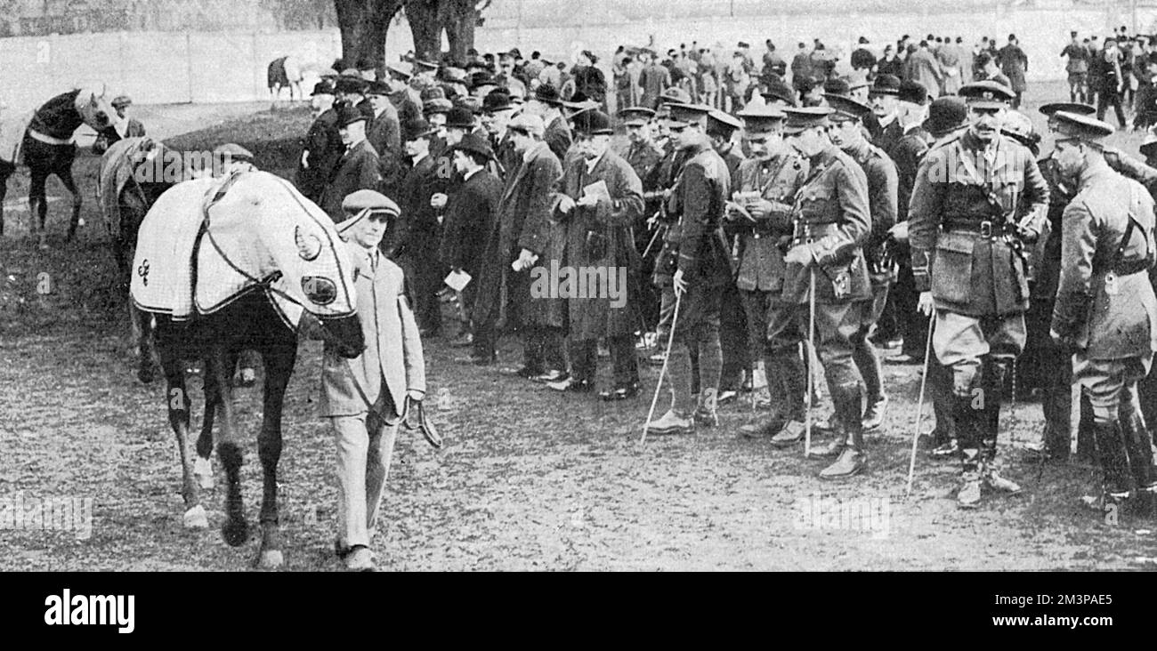 A Khaki Lincoln - il Jockey Club ha giustificato "andare avanti" Foto Stock