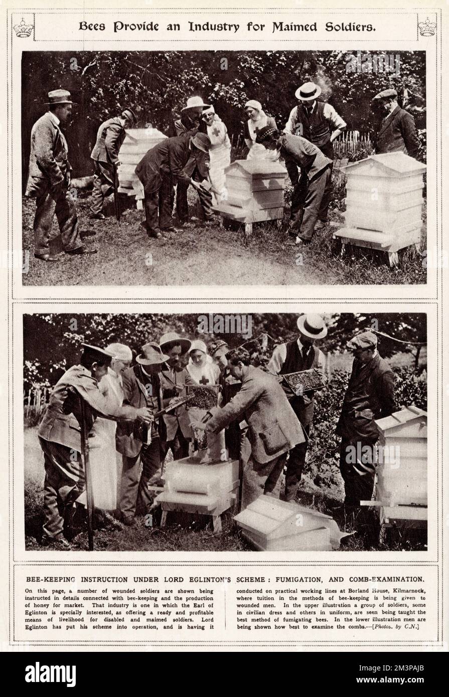 Quali Sono I Suoi Mezzi Di Sostentamento Mezzi di sostentamento immagini e fotografie stock ad alta risoluzione