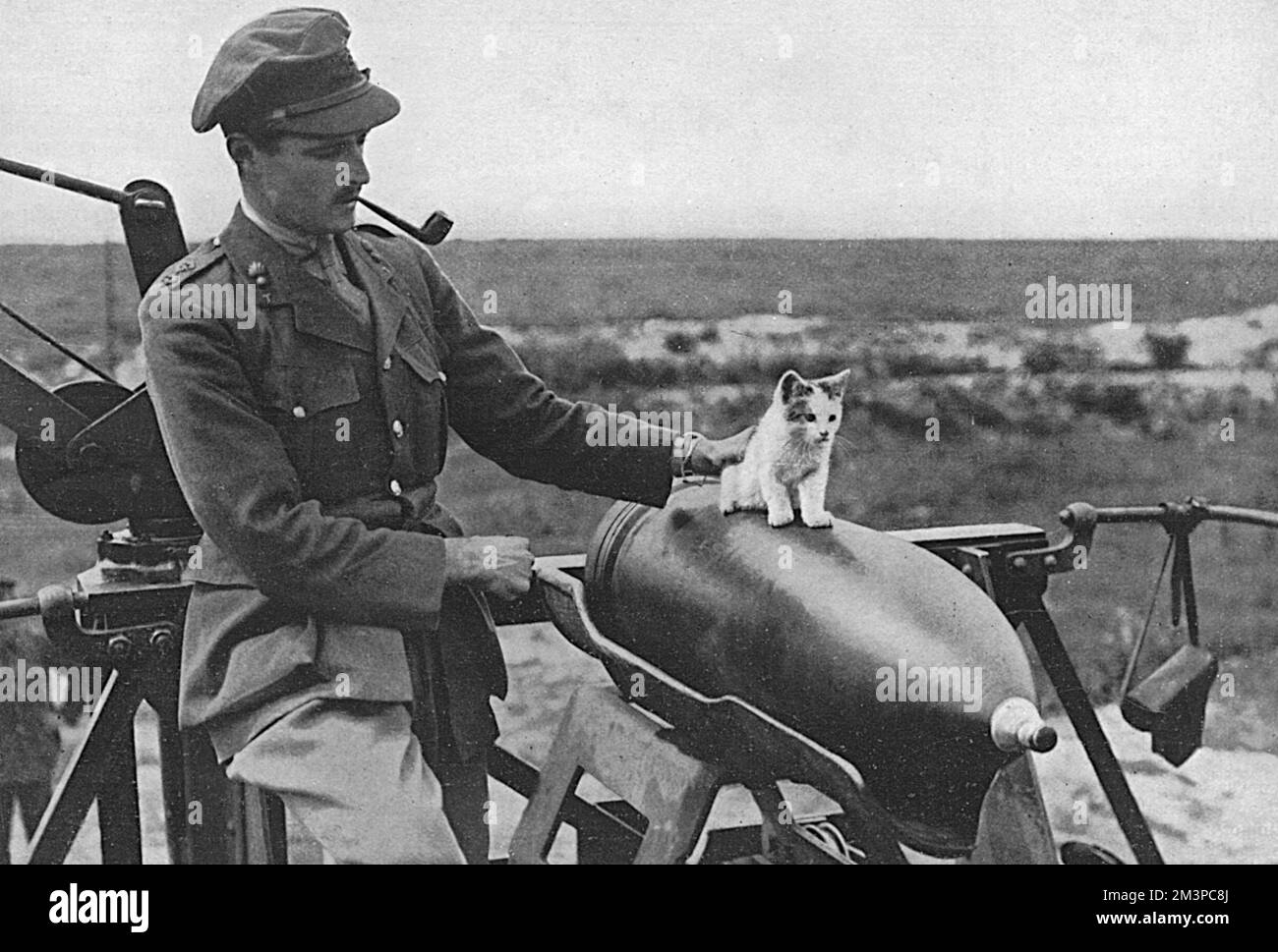 Un piccolo gatto che era la mascotte di un equipaggio di grandi armi sul fronte occidentale. I gatti si sono dimostrati molto utili durante la guerra. Nelle trincee hanno reso servizio inestimabile nella guerra contro le orde di ratti ed erano animali domestici popolari con gli uomini. Data: 1919 Foto Stock