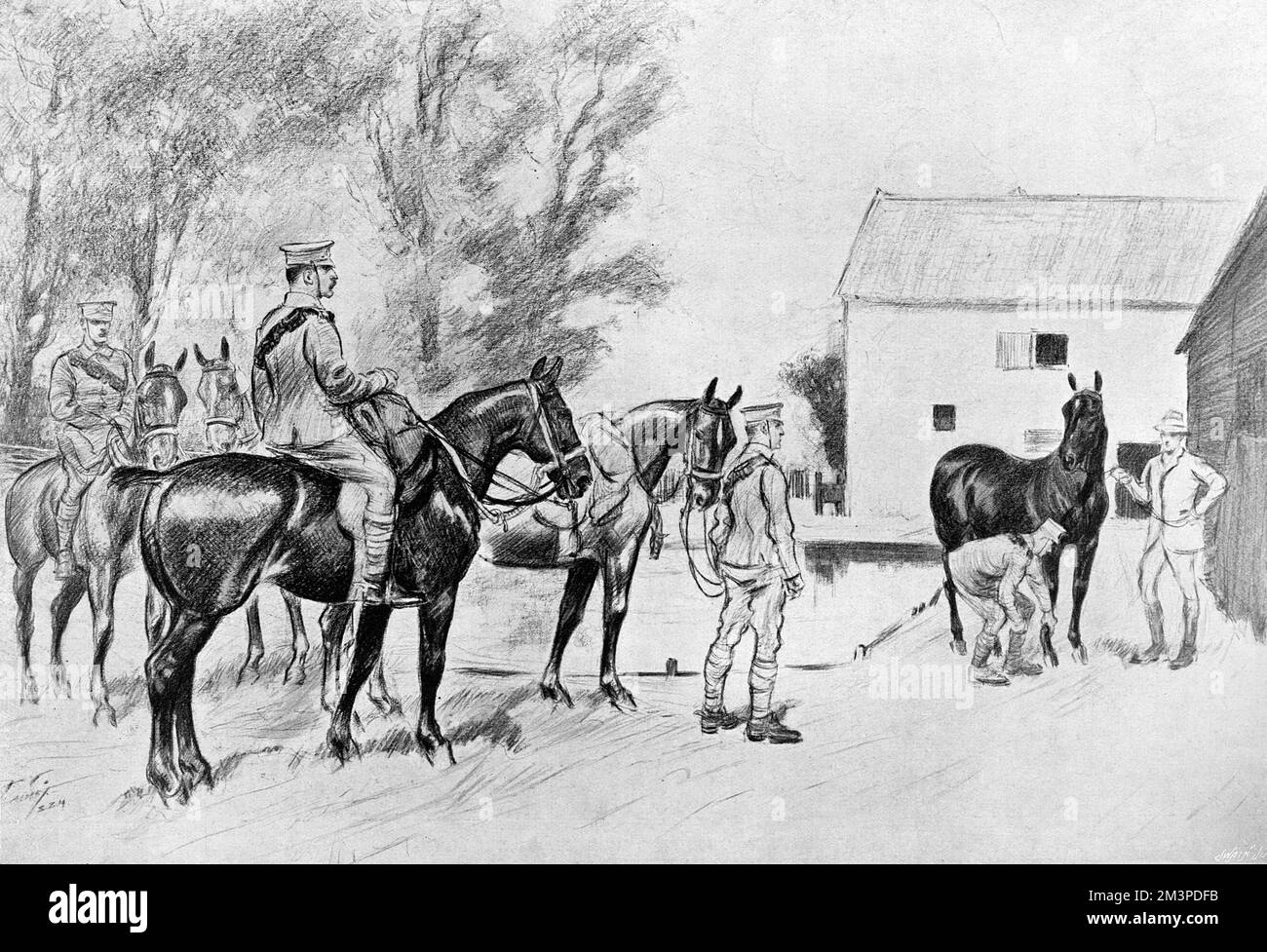Soldati della Suffolk Territorial Royal Field Artillery acquistare cavalli per scopi militari in una fattoria Norfolk poco dopo lo scoppio della prima guerra mondiale. Data: 1914 Foto Stock