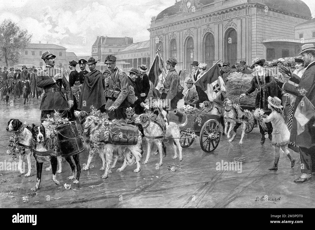 Cani da guerra italiani, decorati per i servizi militari Foto Stock