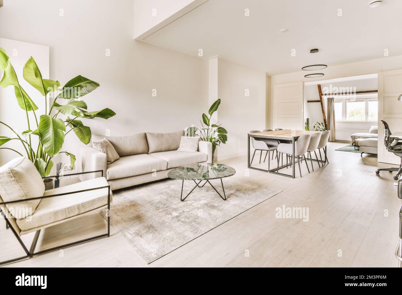 un soggiorno con pareti bianche e pavimenti in legno duro, tra cui una grande pianta verde al centro della stanza Foto Stock