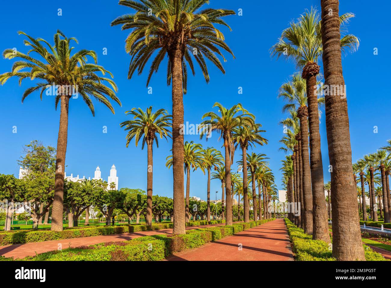 Arab League Park nel cuore di Casablanca Marocco Foto Stock