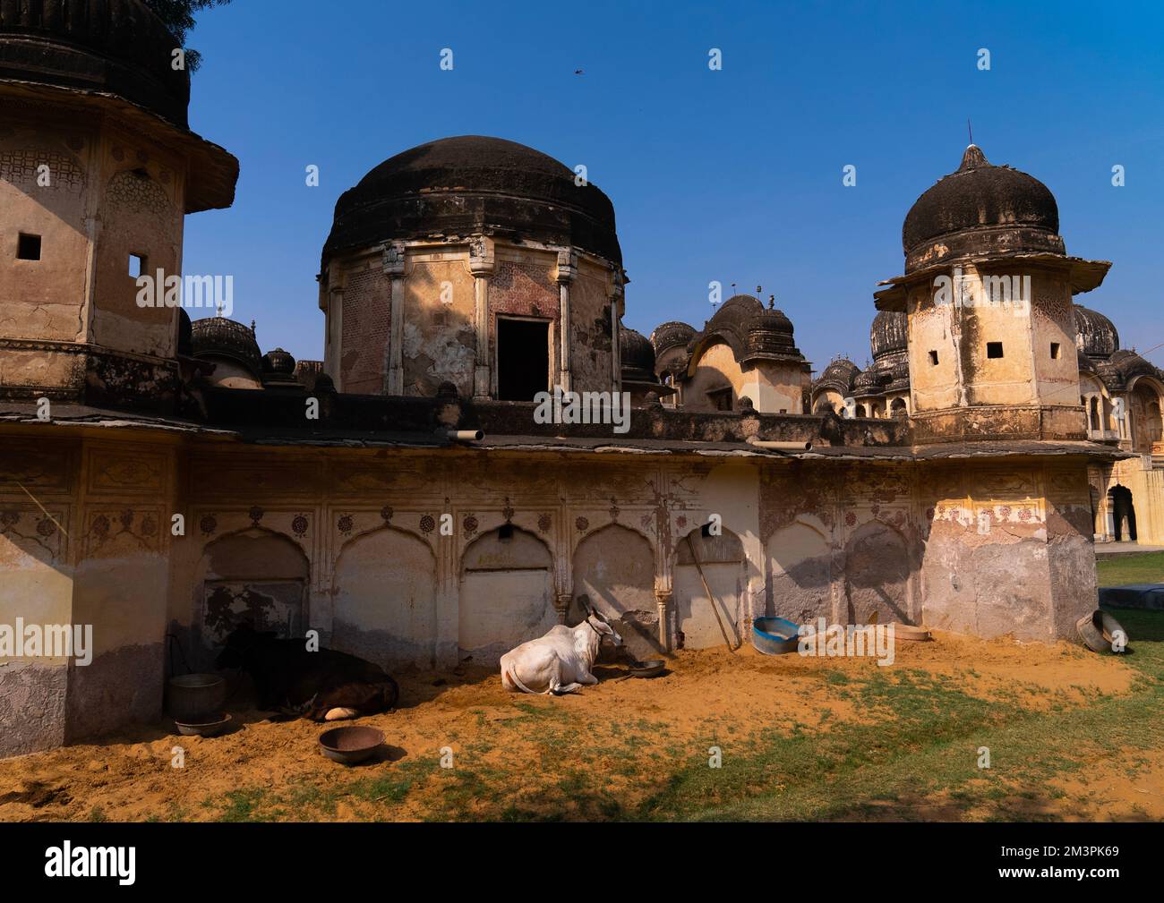 Rajasthan, Rajasthan, Ramgarh Shekhawati, India Foto Stock
