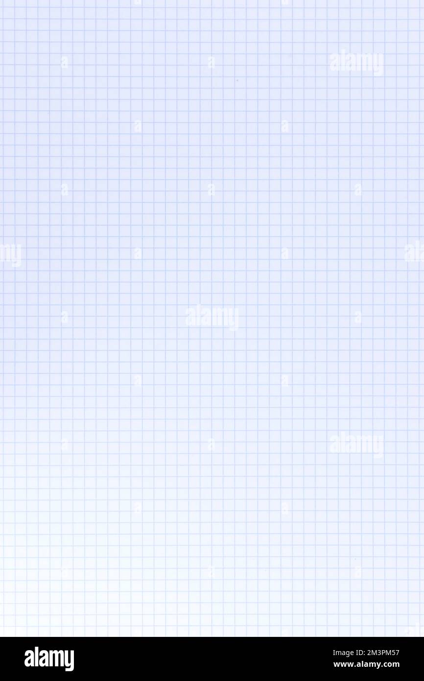 Pagina cartacea del libro di esercizi con quadrati, una pagina. Manuale di esercizi del foglio di lavoro con righe vuote per i calcoli matematici. Modello foglio di carta per notebook vuoto. Scuola e. Foto Stock