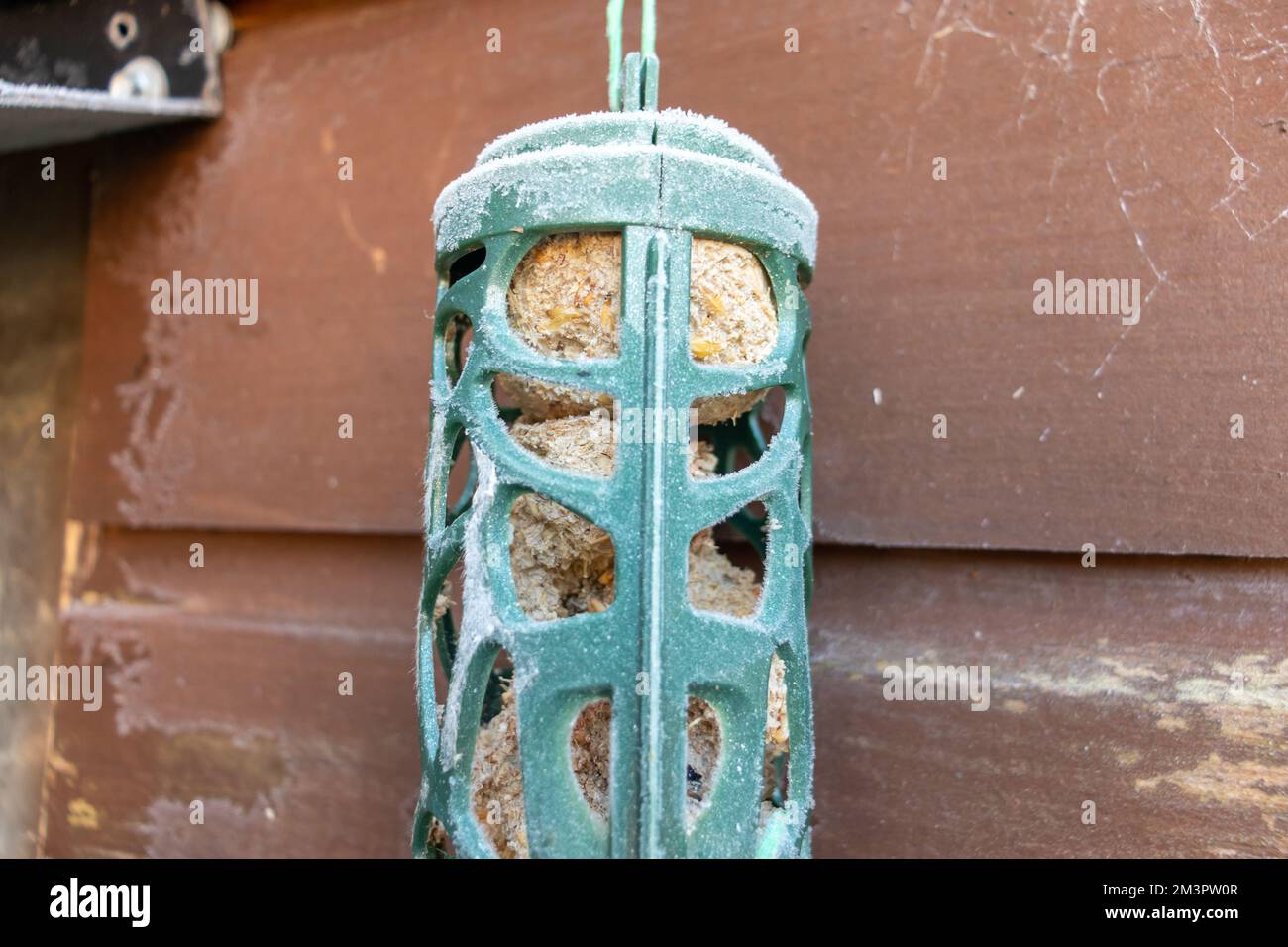 Alimentatore di plastica congelato per uccelli coperto di gelo e ghiaccio durante l'inverno, problema di sopravvivenza burd Foto Stock