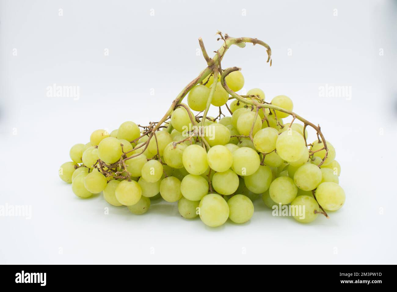 Grappolo di uva verde su sfondo bianco Foto Stock