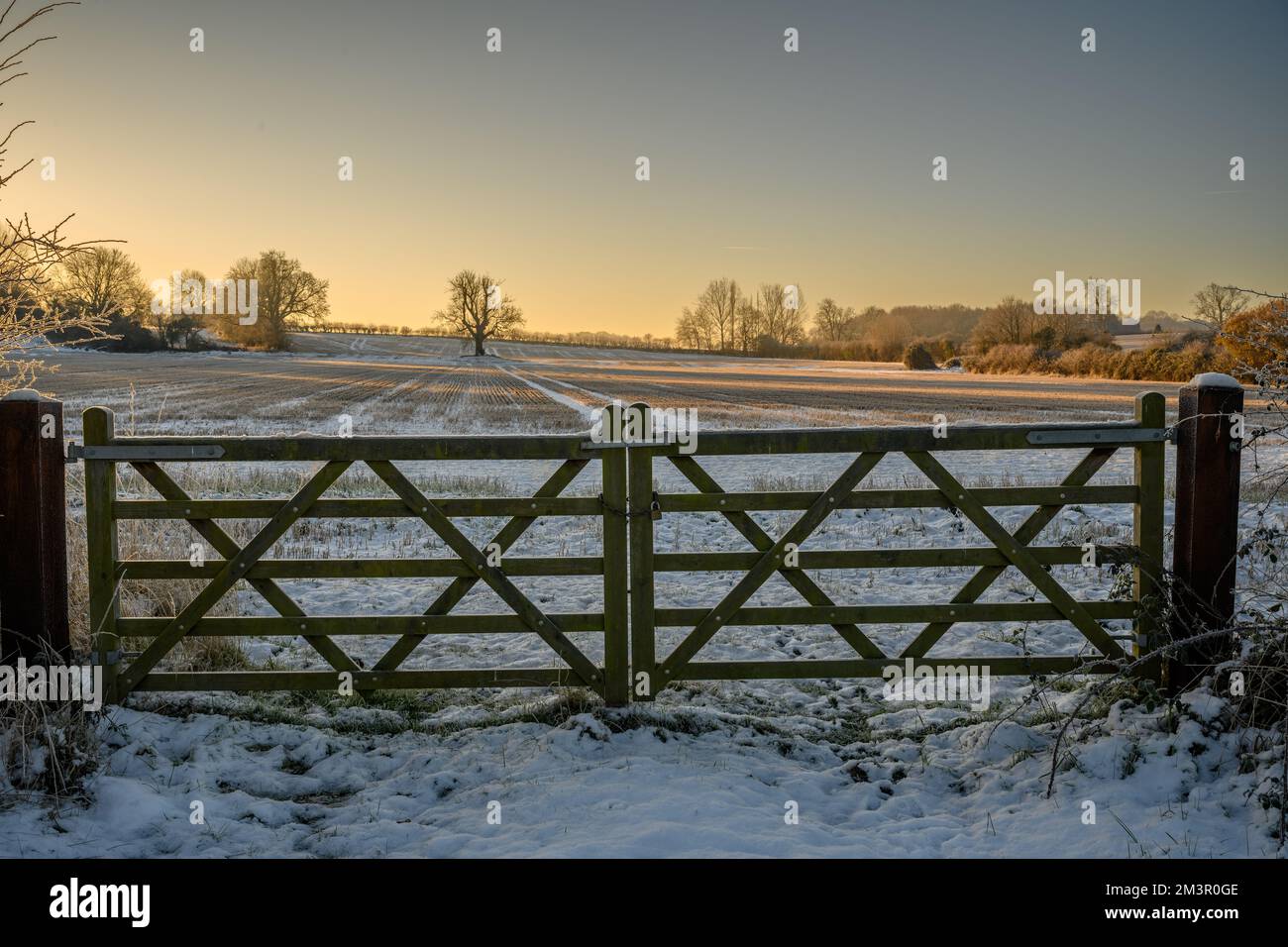 Alba su un prato innevato in Inghilterra Foto Stock