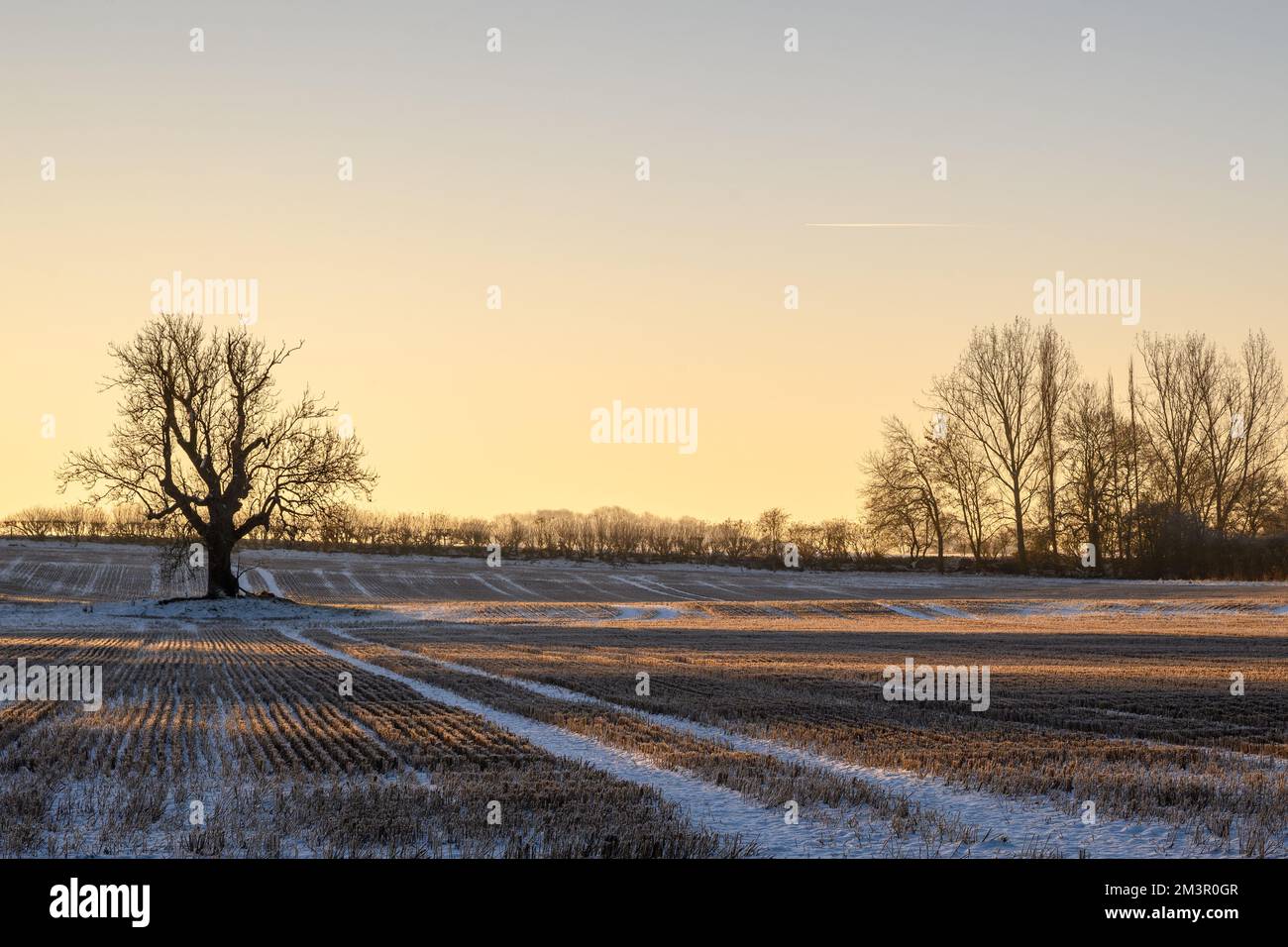 Alba su un prato innevato in Inghilterra Foto Stock