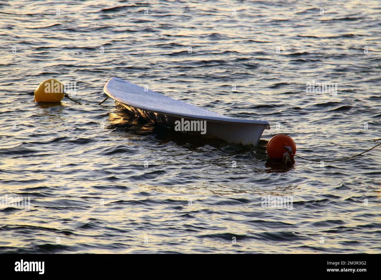 Un paddle board che galleggia in acqua durante il tramonto. Foto Stock