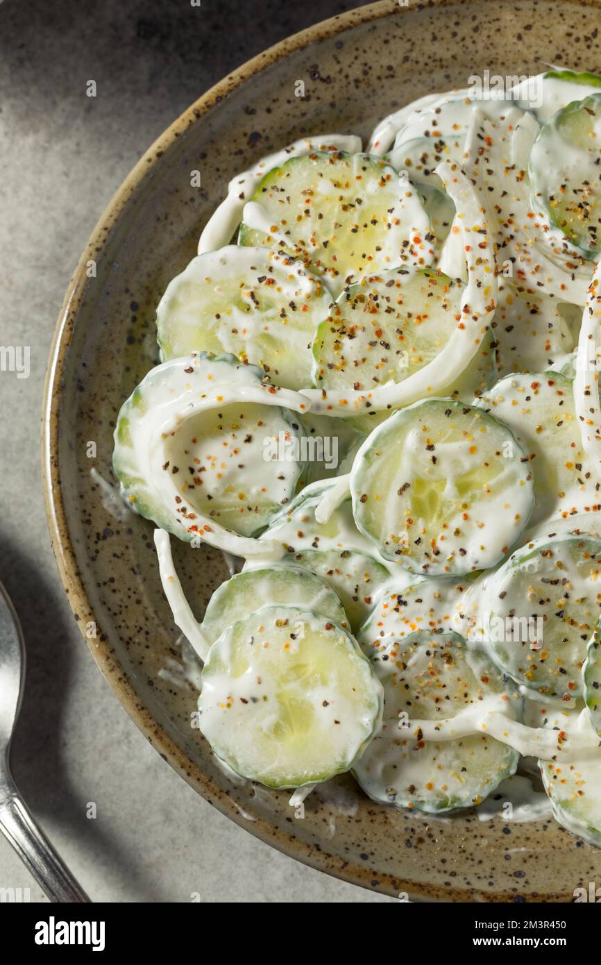 Cetrioli di panna acida fatti in casa con cipolle in una ciotola Foto Stock