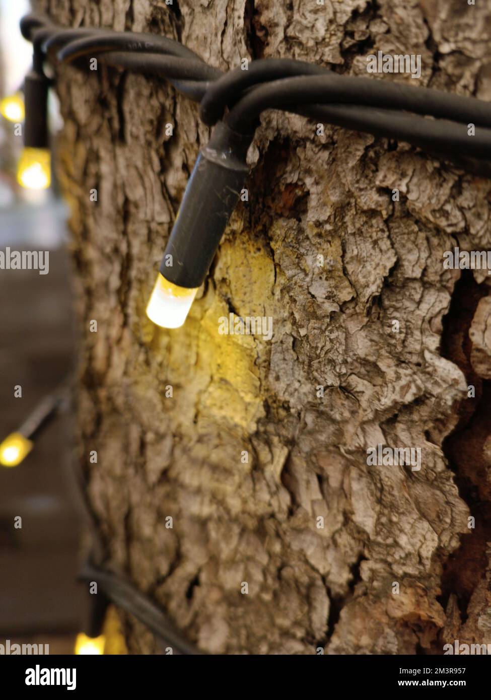 Garland luci su albero. Luce oro. Primo piano decorazione di Natale. Sfondo con messa a fuoco morbida. Foto Stock