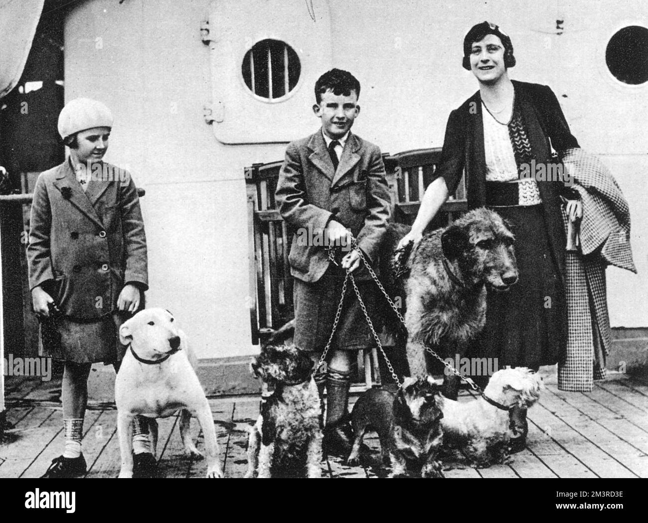 I cani di Cecil Aldin vanno a raggiungerlo a Maiorca Foto Stock