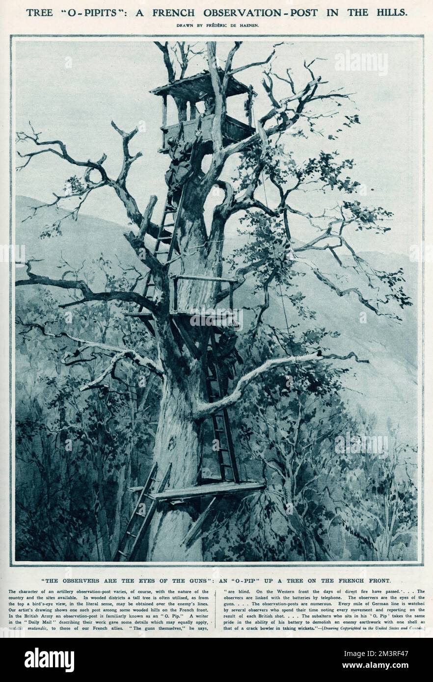 "O- Pip" Un posto di osservazione francese in un albero Foto Stock