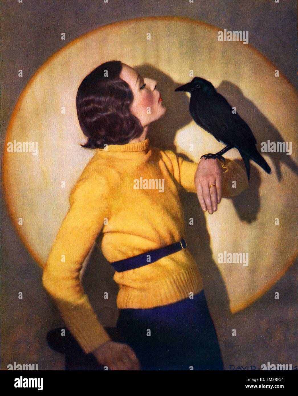 Quoth the Raven Never More di David Duggin Foto Stock