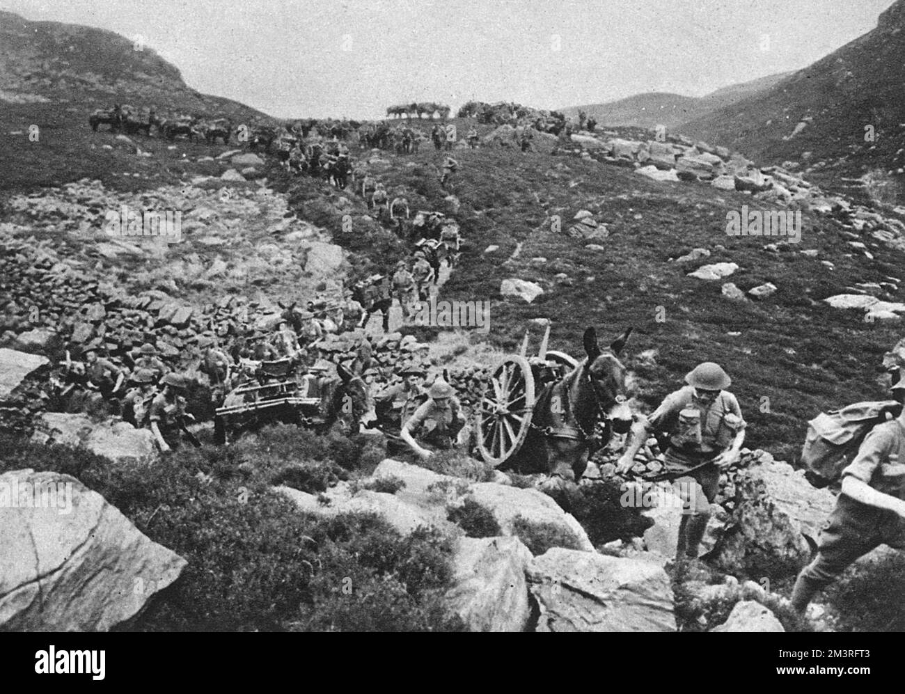 Esercitazioni di batteria di artiglieria reale in Galles: Radio e mulo Foto Stock