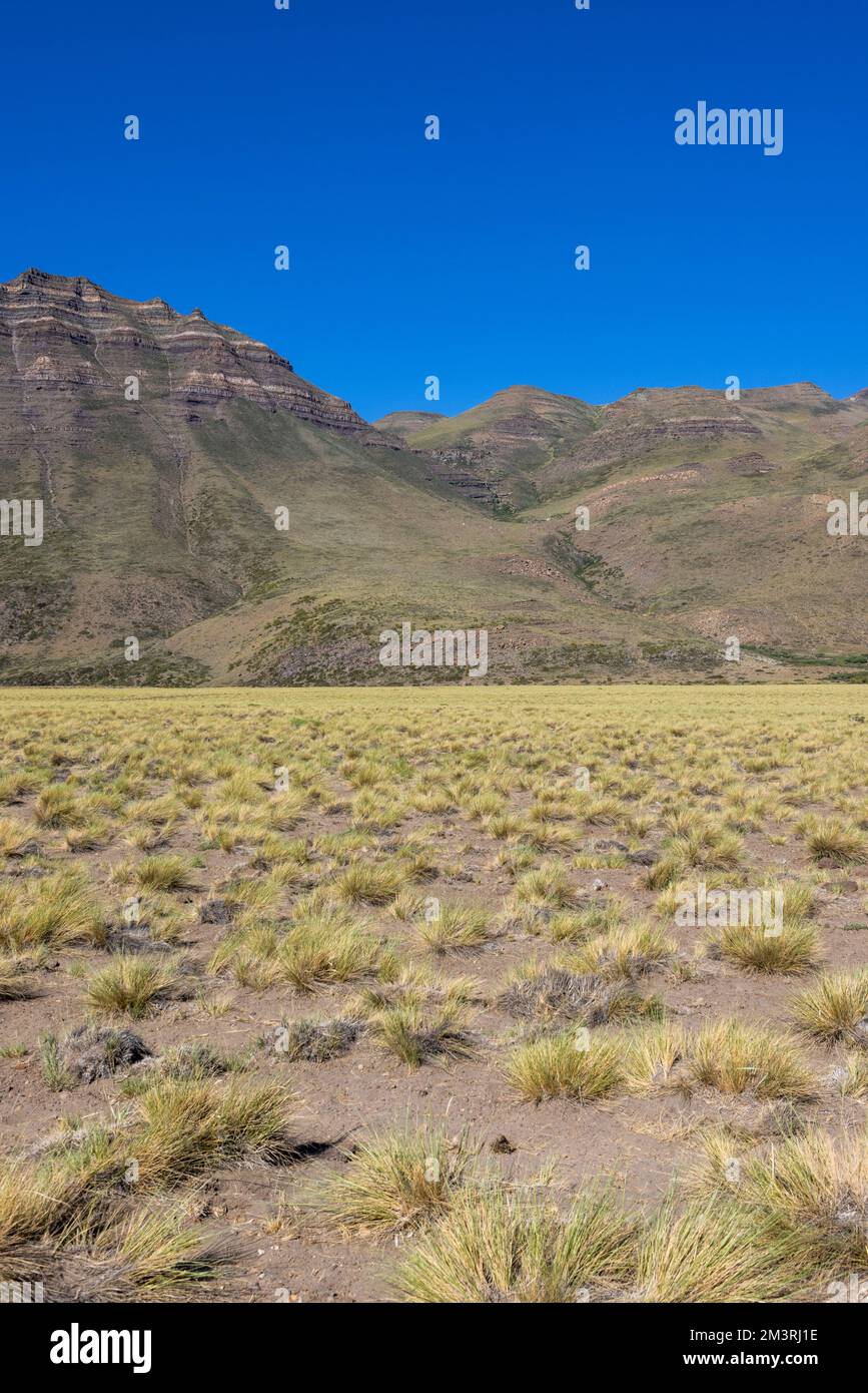 Paesaggio a Paso Vergara - attraversare il confine dal Cile all'Argentina mentre si viaggia in Sud America Foto Stock