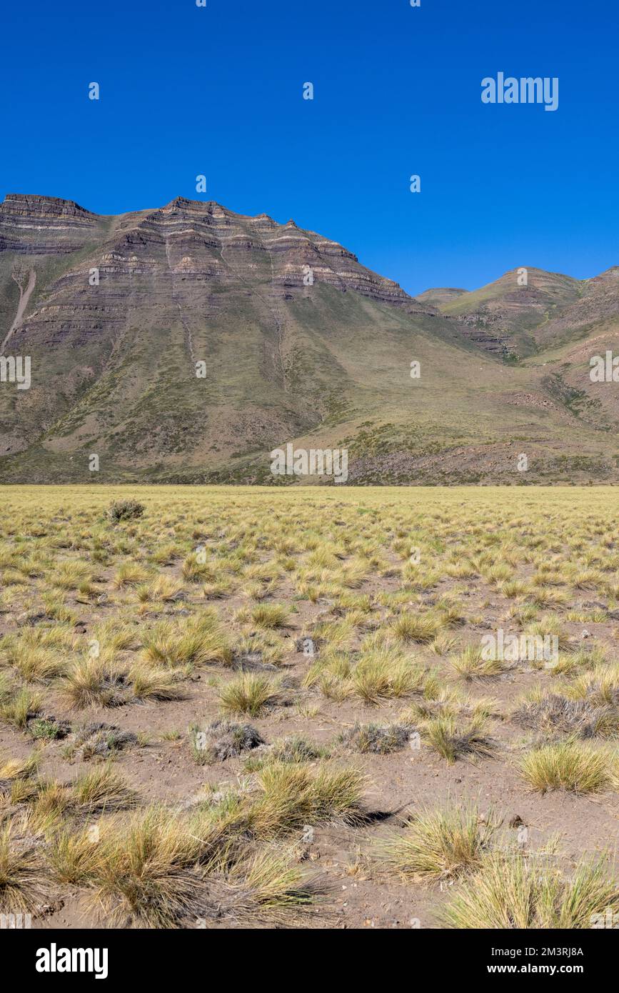 Paesaggio a Paso Vergara - attraversare il confine dal Cile all'Argentina mentre si viaggia in Sud America Foto Stock