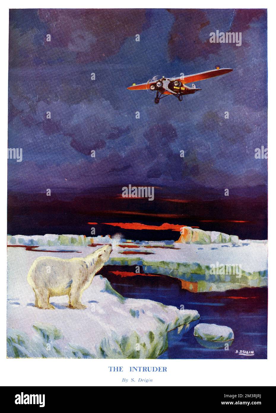 Un orso polare guarda un aereo che si avvolga mentre scende sopra il suo remoto territorio artico. 1930 Foto Stock