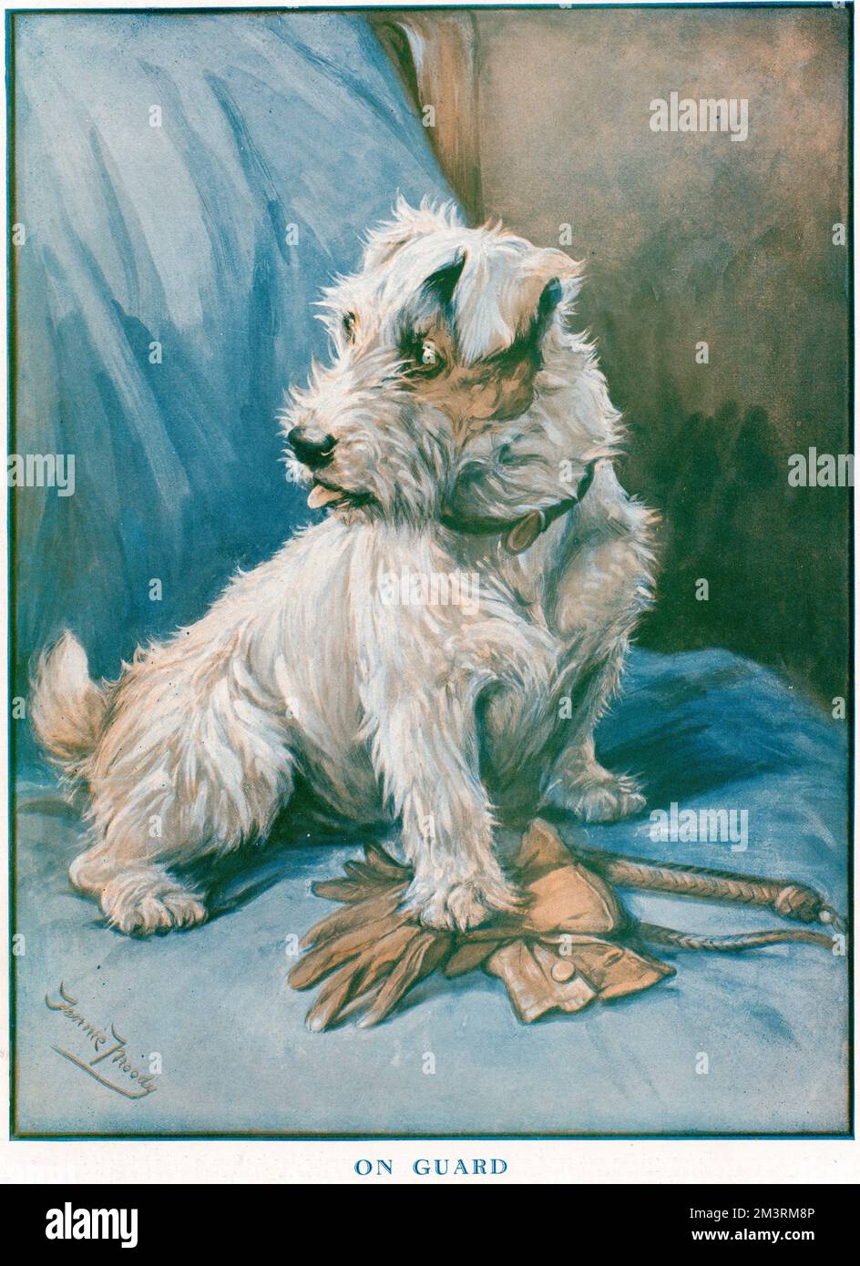 In guardia Foto Stock