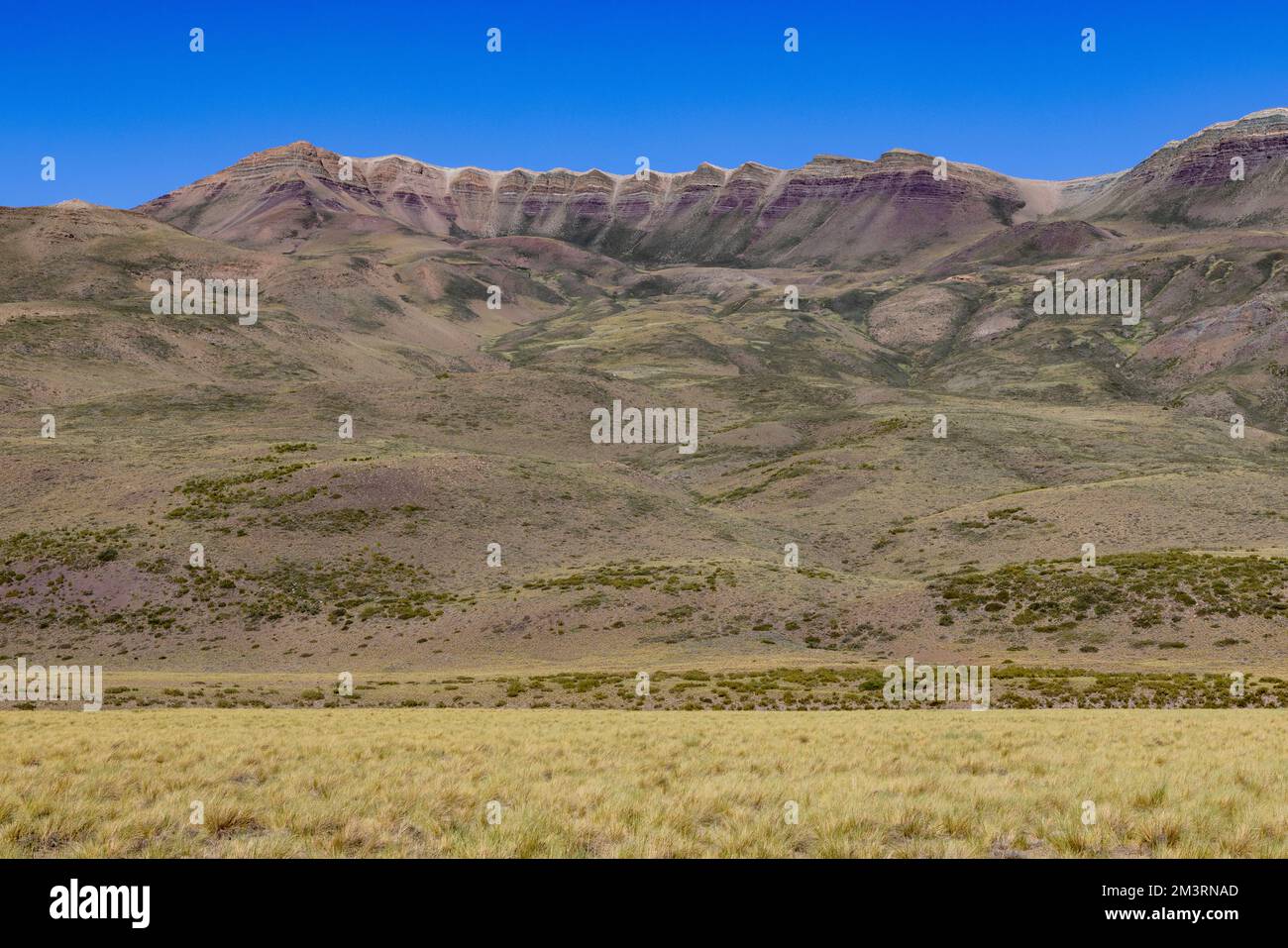 Paesaggio a Paso Vergara - attraversare il confine dal Cile all'Argentina mentre si viaggia in Sud America Foto Stock